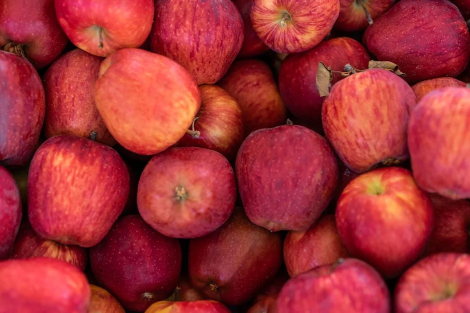 Apple Unblocks Pornhub in UK — Ad Revenue Set to Surge