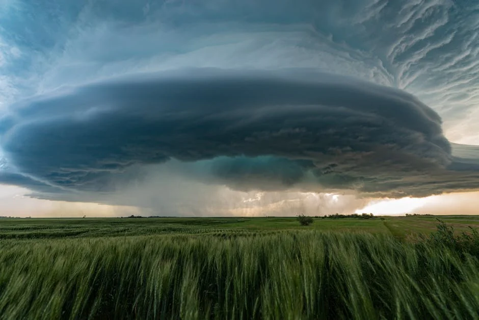 Cape Provinces Brace for Severe Weather — Economic Impact Expected This June