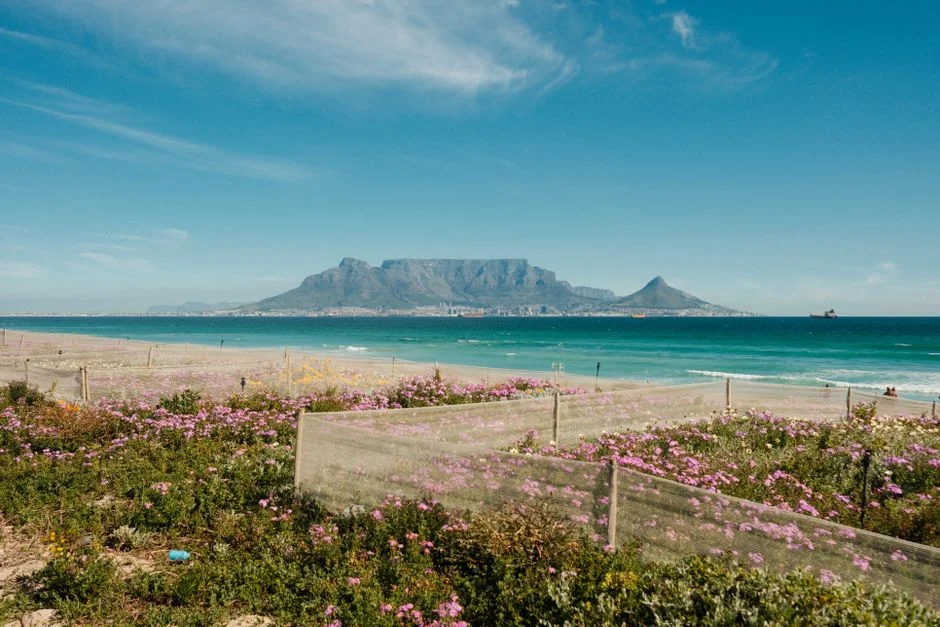 Cape Town Marathon Cracks World's Top Six — And the Economy's Already Feeling It