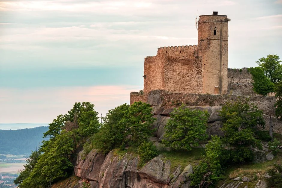 Czech Castle Uncorks 130-Year-Old French Wartime Wine — Collectors Already Circling