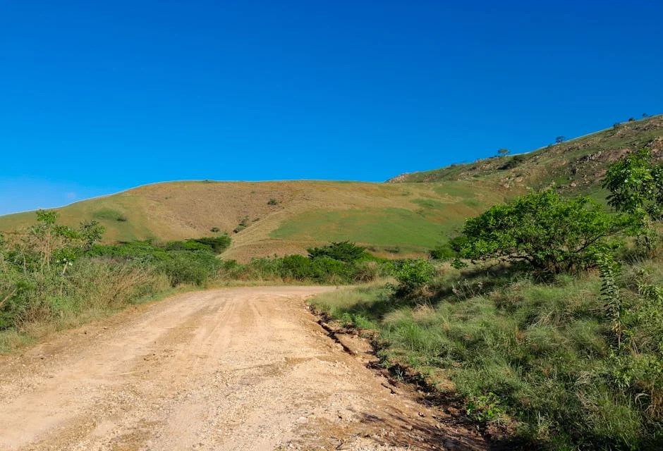 DA Wins Emfuleni Municipality — ANC Faces Growing Challenges Ahead of Elections
