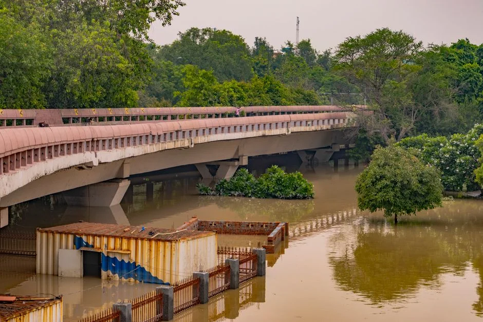 Diluted SOP Allowed 70 Ayodhya Thefts in 45 Days, SIT Confirms — Environment