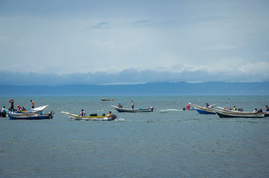 Dozens Attack Mozambican Immigrants in Mossel Bay — Business Leaders Sound Alarm