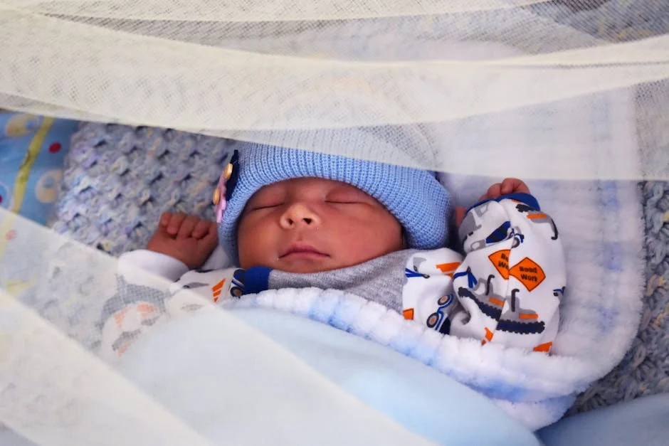 Early Care Scheme Triggers £2.5 Billion Market Opportunity