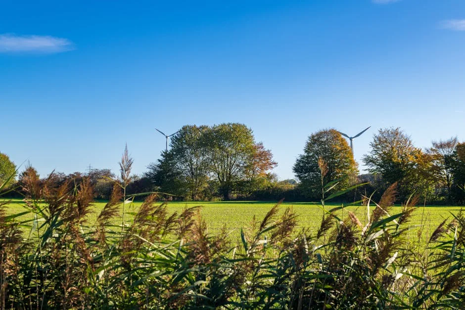 EDP Sells €750m Green Bonds at 3.75% Yield