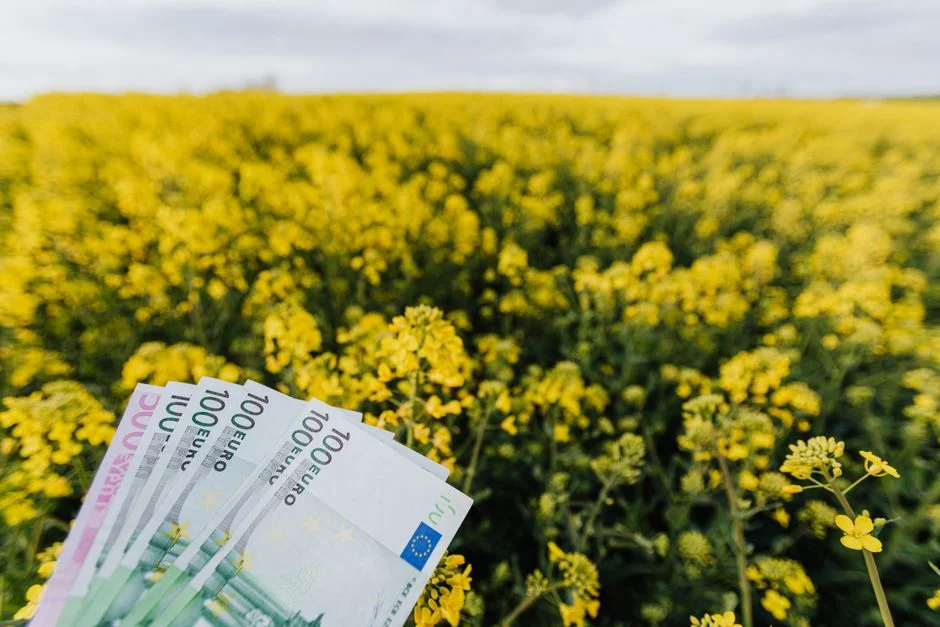 Euromillions Jackpot Reaches €141 Million as Nine Nations Compete