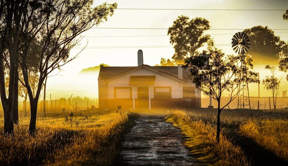 Free State Provincial Government Exposes Corruption Scandal — Costs May Rise for Investors