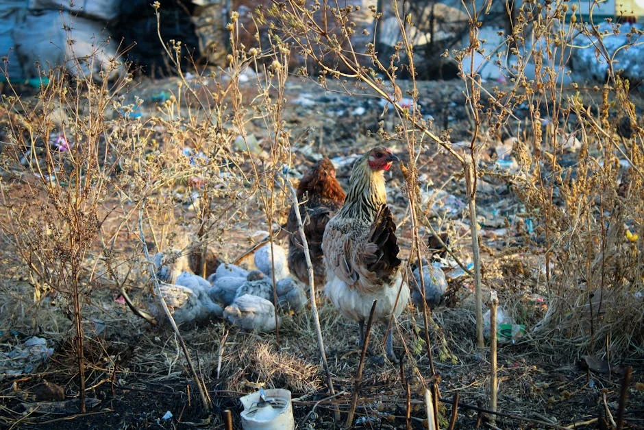 Gauteng Cracks Down on Hunger Relief Misuse — Shop Shelves Flooded with Aid