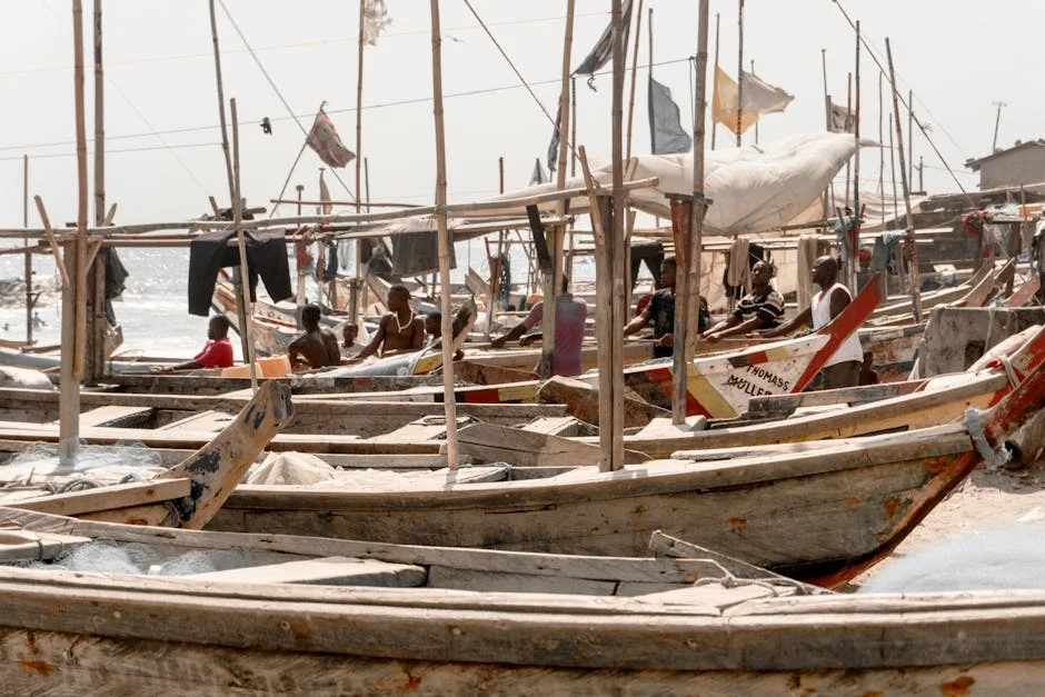 Ghana's Government Reveals 90% of Repatriated Citizens Lack Valid Documents