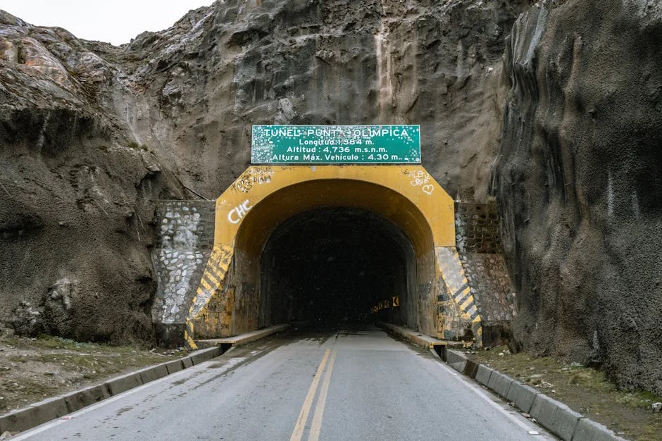 Hantavirus in The Andes Triggers Economic Shockwaves
