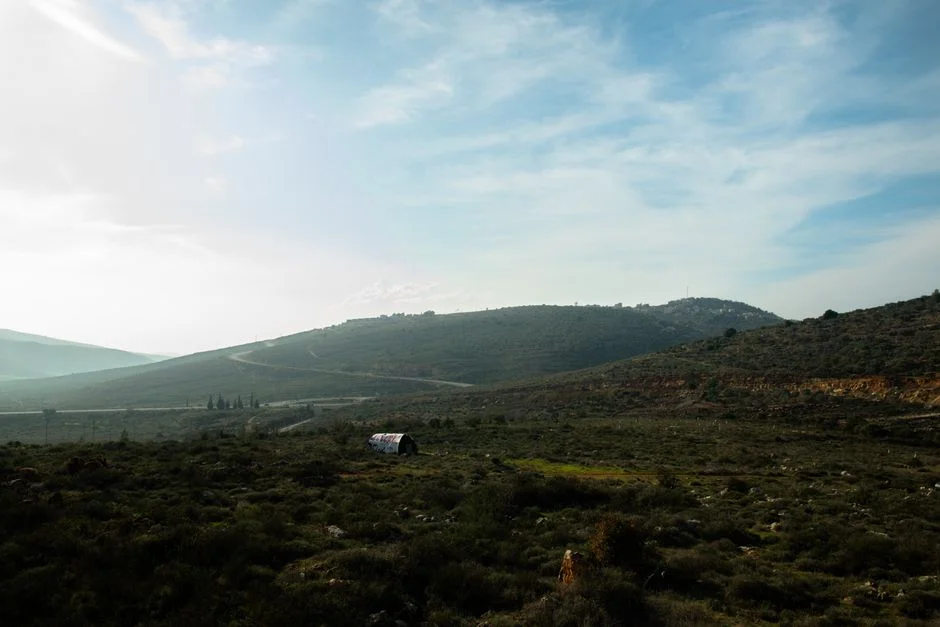 Hezbollah Fires Rockets at Israel — Testing US-Backed Ceasefire — World News