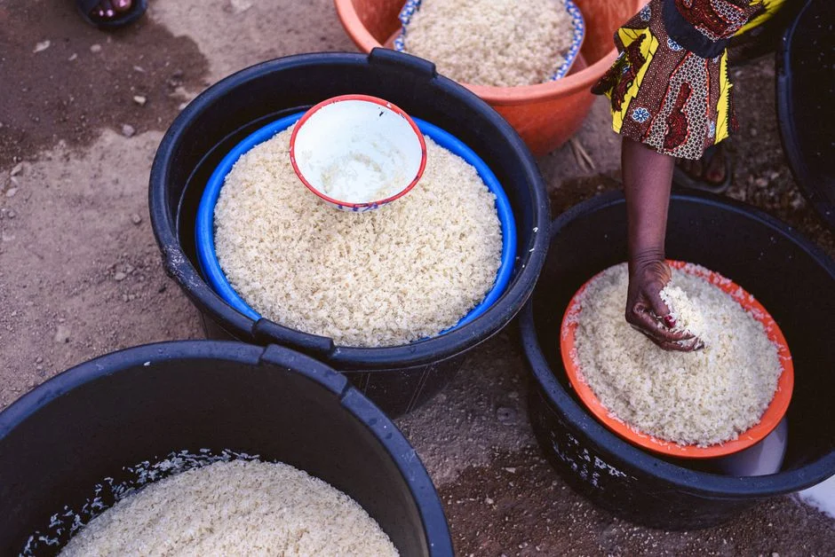 India Turns to Nigeria for Soybean Supplies Amid Global Shortages