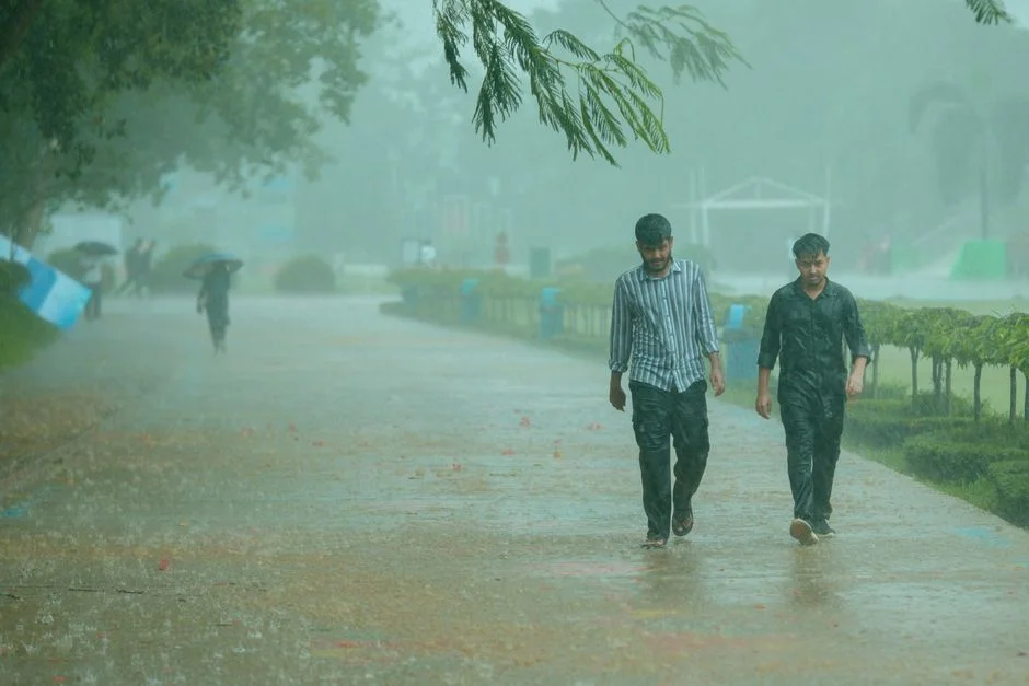 India's Orange Monsoon Alert Triggers Crop Concerns Across Commodity Markets — World News