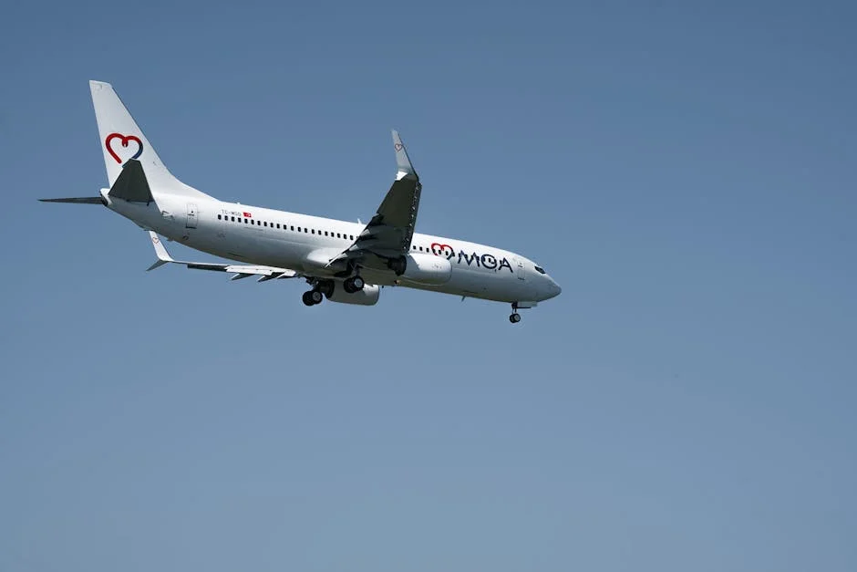 Japan Airlines Launches Humanoid Robots — What This Means for the Market