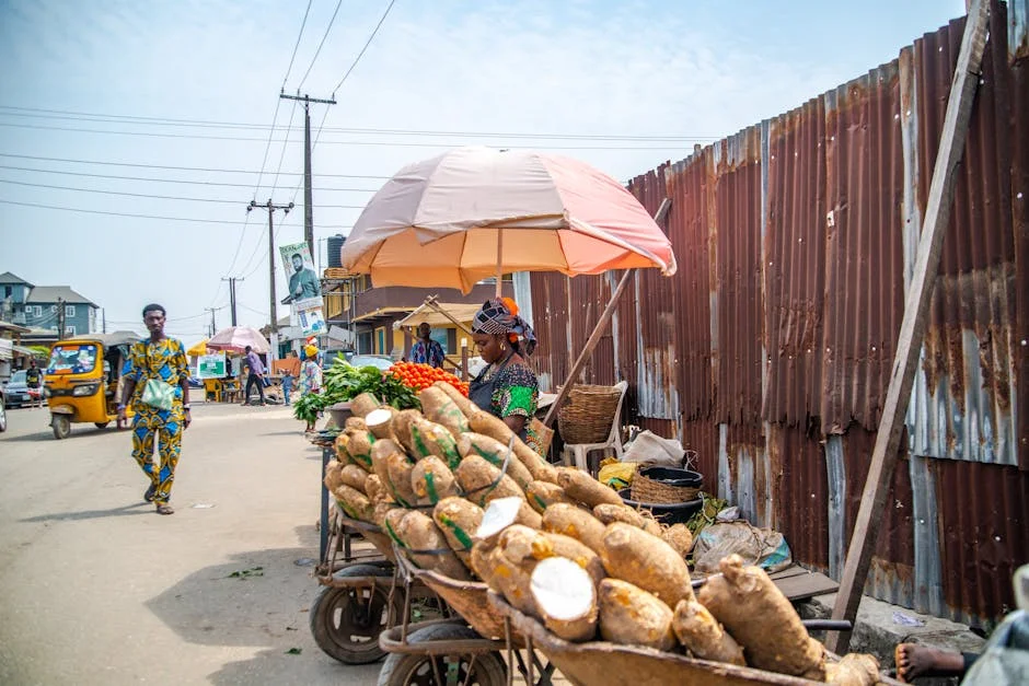 Kano APC Unification Triggers Market Stability Hopes in Nigeria — Environment