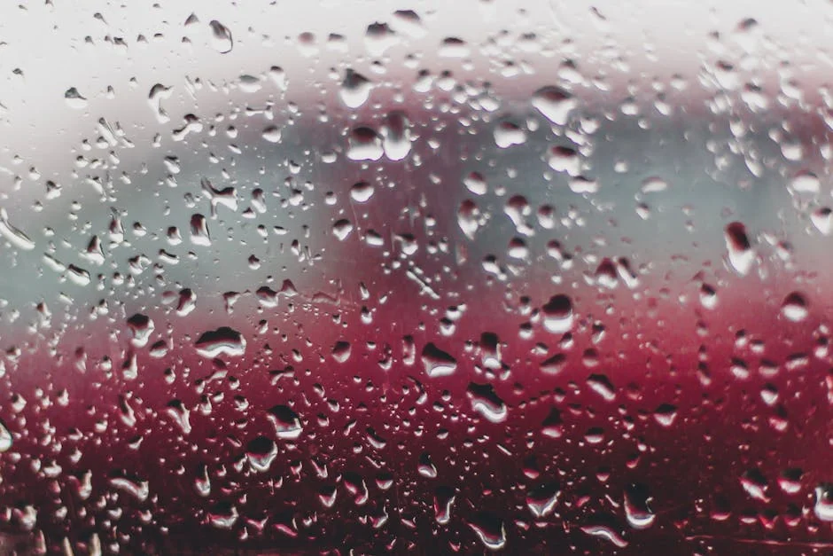 Ludhiana's Rainfall Slows Business Growth — Markets Brace for Impact