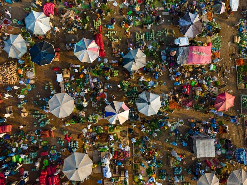 MK Party Ousts Ndhlela — Market Signals for South Africa