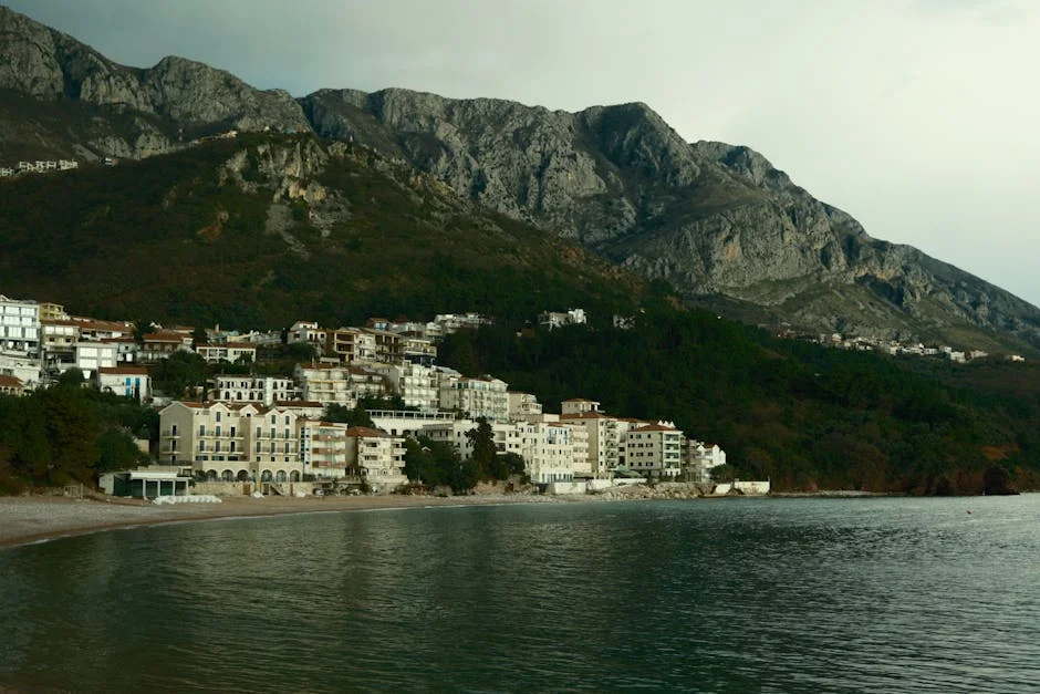 Montenegro's Manuel Pureza Slams Government Over Unfulfilled Promises
