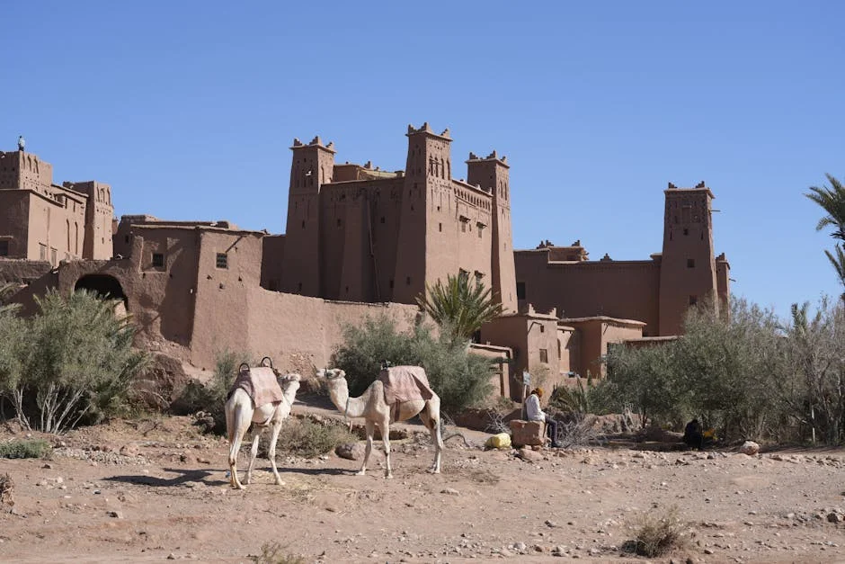 Morocco Promotes Tourism in Western Sahara — Will Investors Follow Suit?