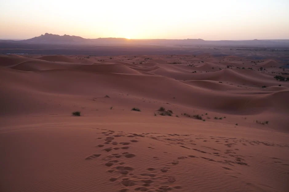 Morocco Promotes Western Sahara Tourism Amidst Control Concerns