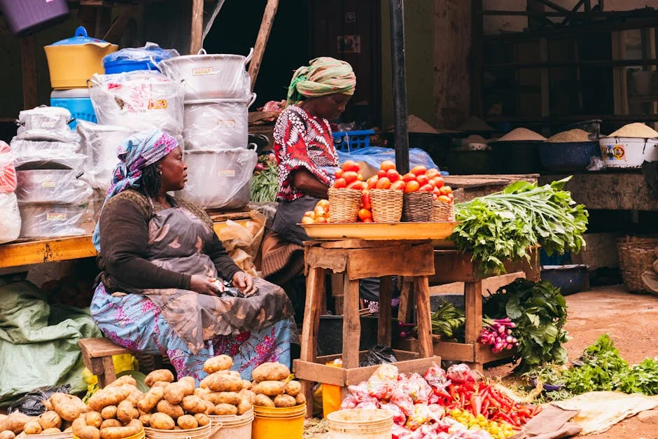 Nigeria Kidnapping Crisis Shocks Markets as Borno Schools Fall — Technology