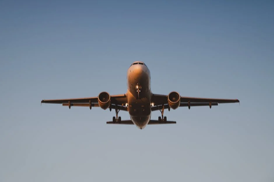 Nigeria Warns of Flight Restrictions as Ebola Cases Spike in Africa — World News