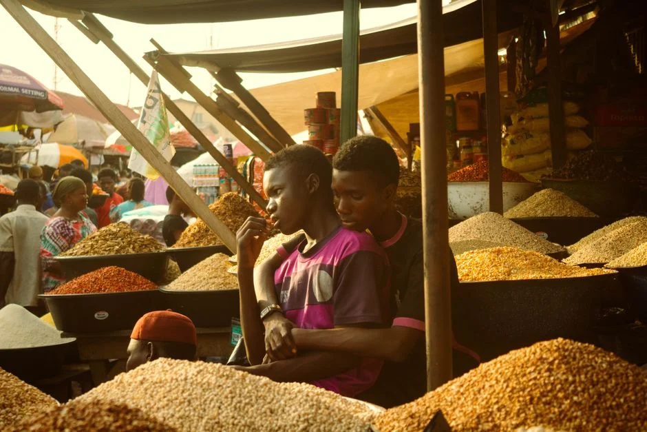 Nigeria's Foreign Business Missions Face Scrutiny as Deals Fail to Materialise — World News