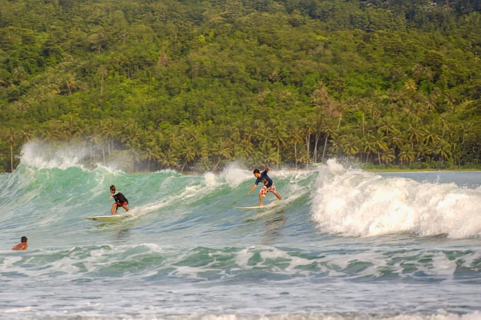 NZ Surf Event Halts After Bite — Tourism Sector Faces $2.4 Billion Hit — Society Culture