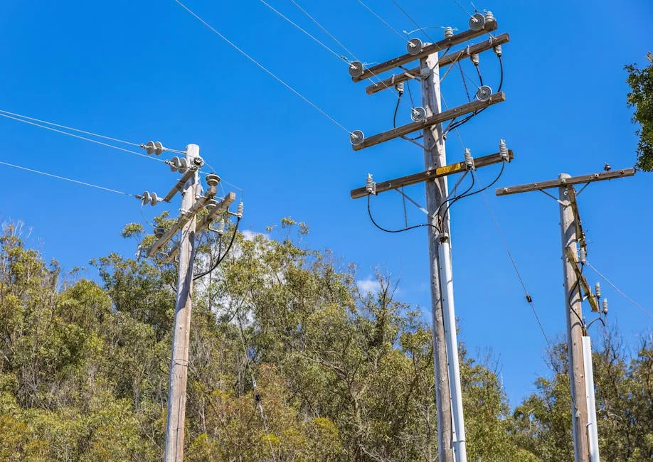 Pinelands City Launches Underground Cabling Project — Aiming for Greater Infrastructure Resilience