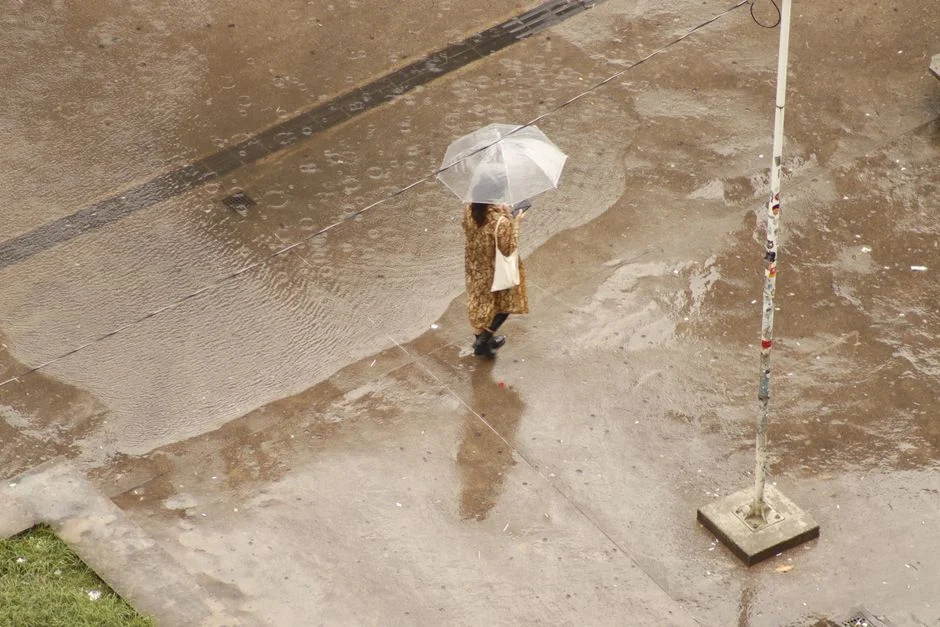Pune Rains Topple Compound Wall — 14 Vehicles Smashed — Science