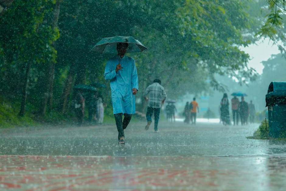 SA Weather Triggers Market Jitters as Four Provinces Face Storm — Science