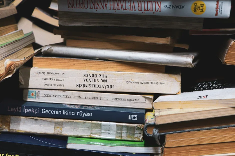 Saramago Curriculum Launch Sparks Debate on Economic Implications