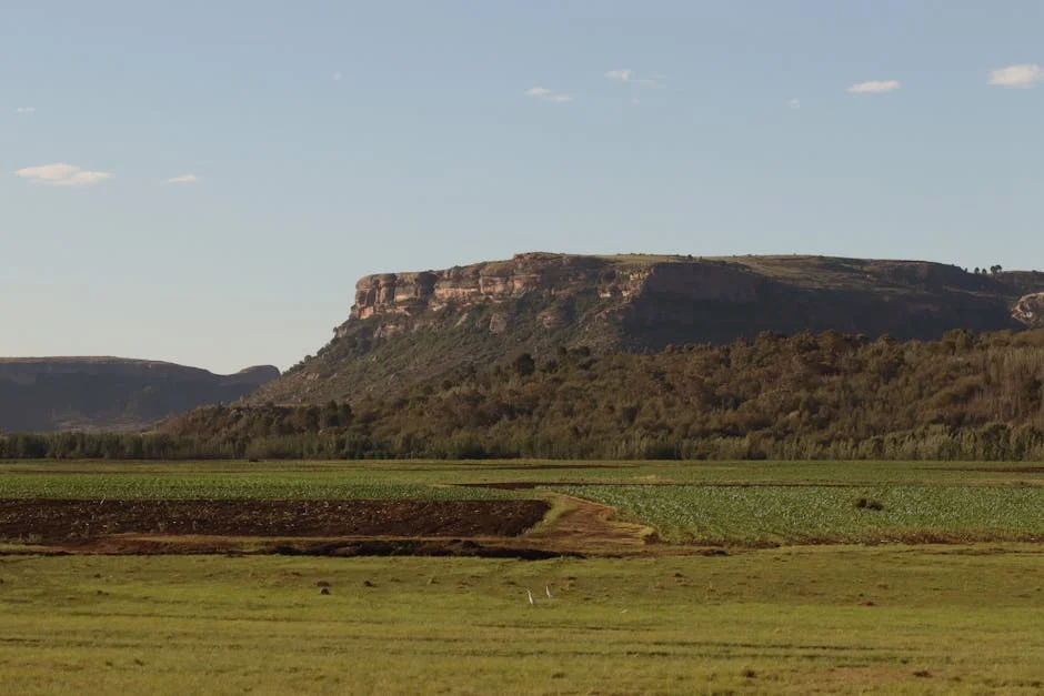 Scientists Warn El Niño Threatens Southern Africa's Harvest — Markets Brace for Impact