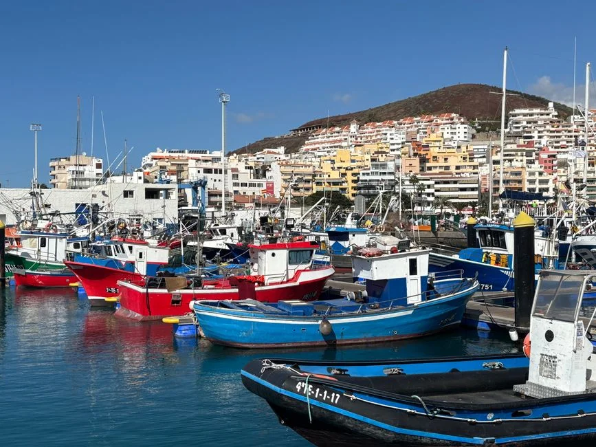 Sines Port Expansion Triggers Investment Rush Along Portugal's Alentejo Coast