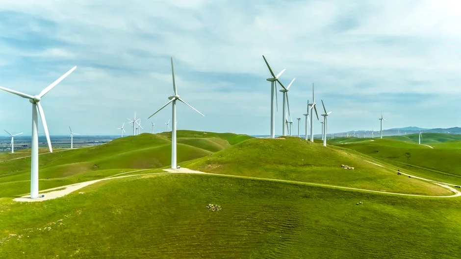 South Africa Climate Promises Pass First Test — What Happens Next Could Shape Global Investment