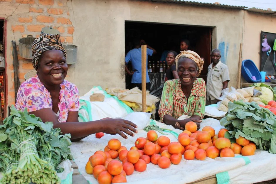 South Africa Halts R170m in Grants — Markets React