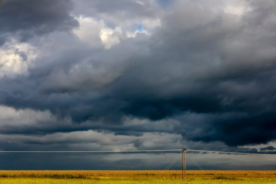 South African Weather Service Warns of Morning Fog Impacting Transport and Trade