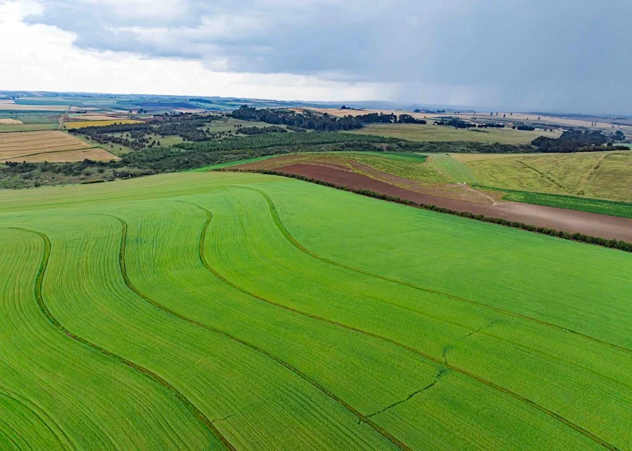 South Africa's Agriculture Faces Crisis as Political Instability Surges