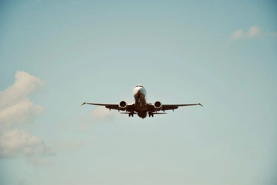 South Africa's Aviation Regulators Face Off as Airlines Lose Routes — World News