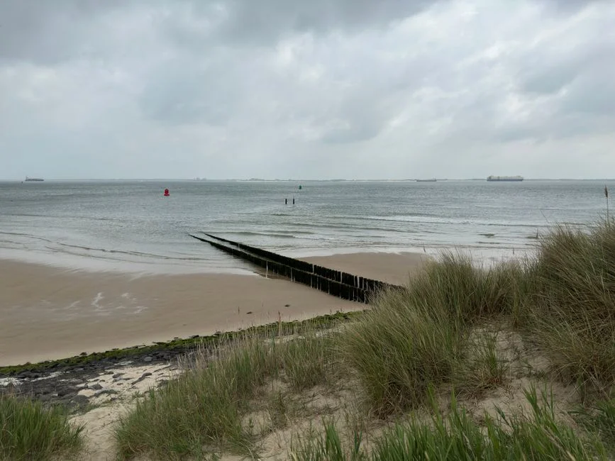 Streeting Proposes NI Cuts and North Sea Drilling — UK Businesses Brace for Impact — World News