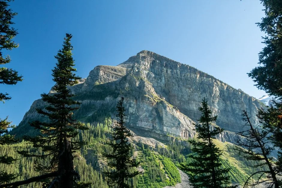 Table Mountain National Park Changes Winter Hours — Visitor Numbers Set to Shift