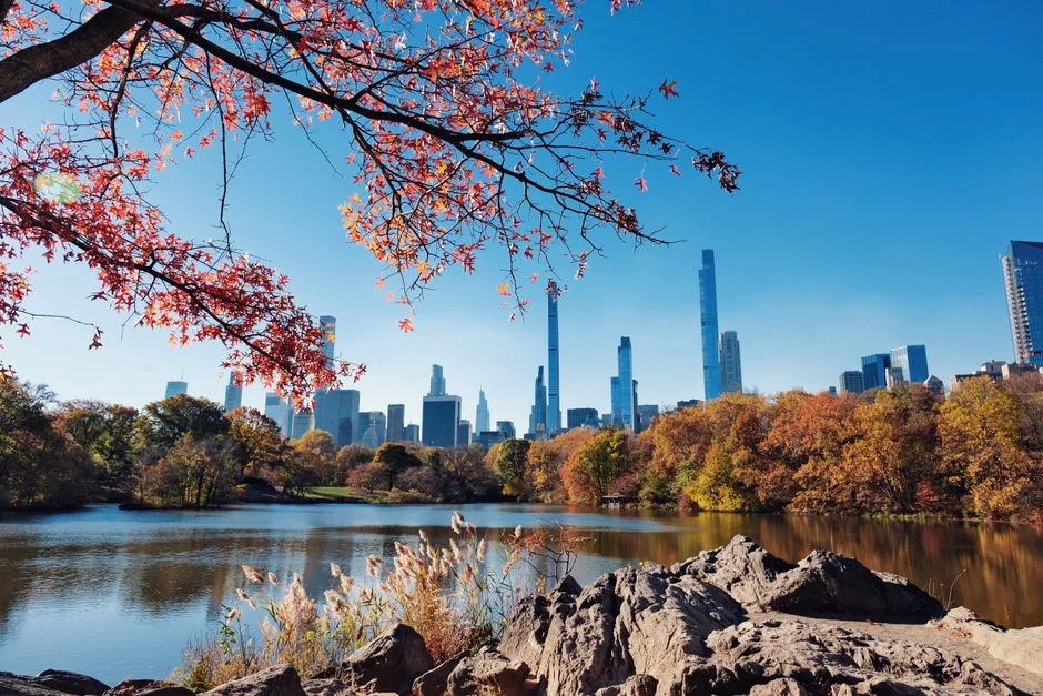 Teen Killed in Central Park Carriage Crash — New York Tourism Faces Safety Reckoning — Science