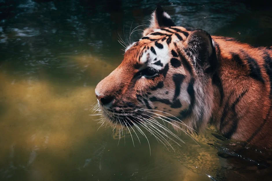 Tiger Brands Confirms R25m Monthly Fuel Bill — Food Prices Set to Rise — Science