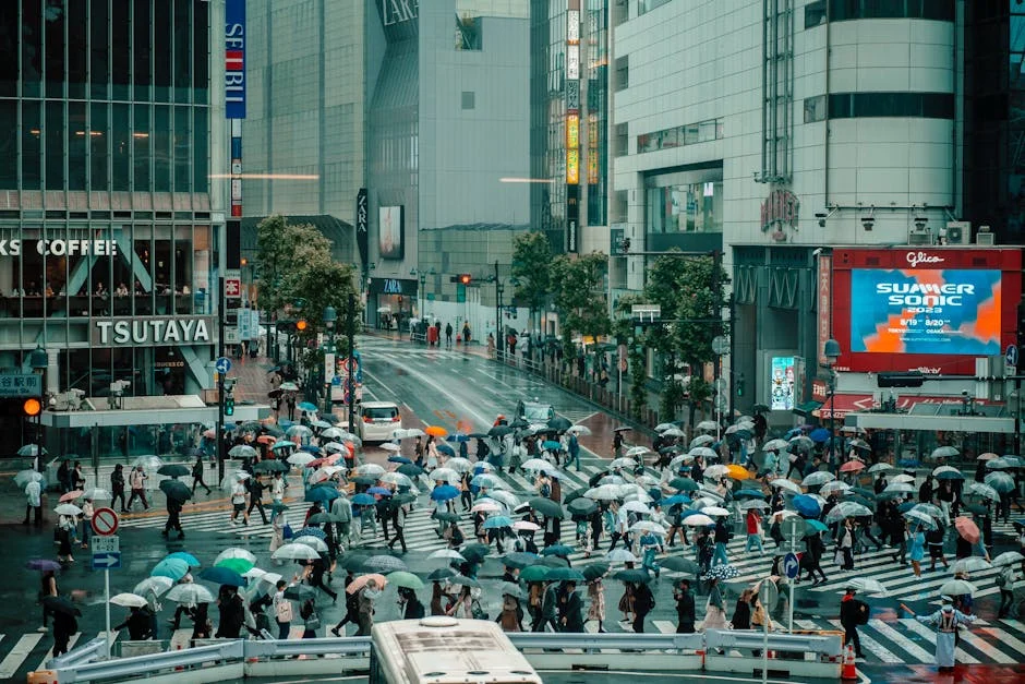Typhoon Jangmi Threatens Japan as Europe Heatwave Pushes Energy Prices Higher — Environment