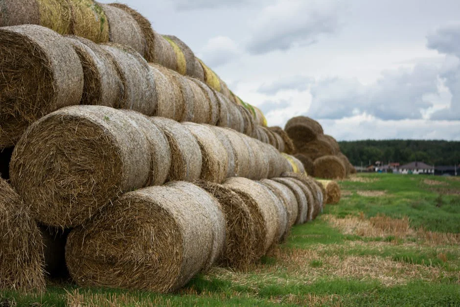UK Hay Fever Season Extends — Impacting Pharma and Retail Markets — Economy Business