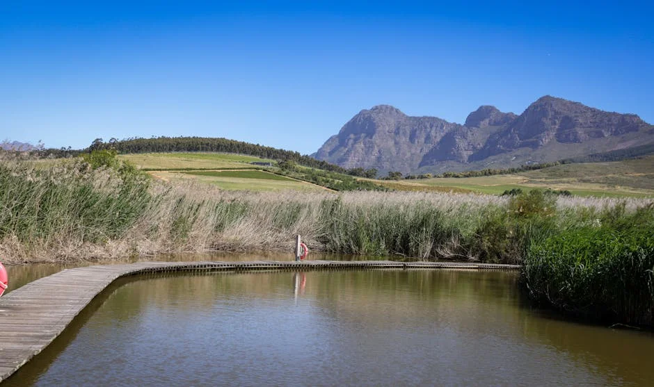 Western Cape Flooding Disrupts Wine Exports and Agricultural Supply Chains — Science